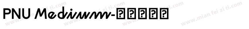 PNU Medium字体转换